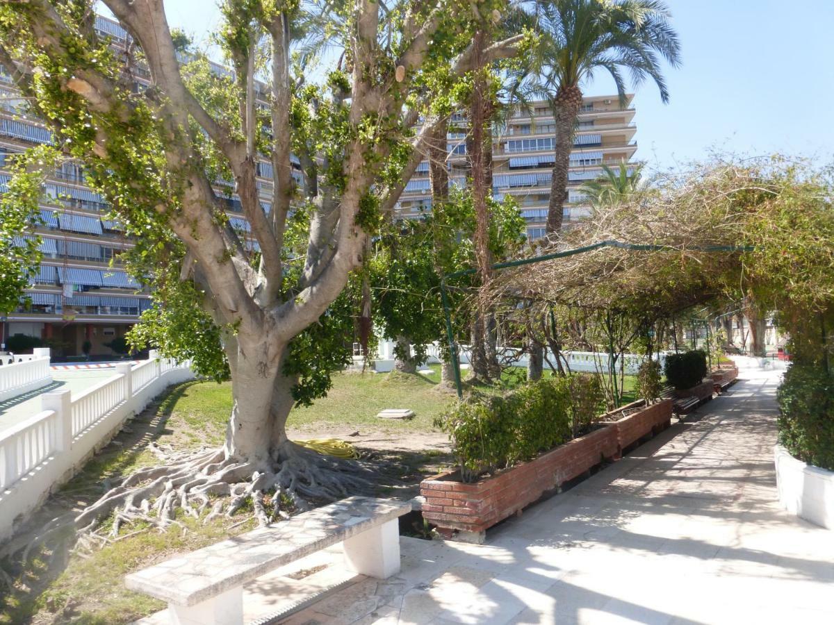 Family And Friends - San Juan Playa Alicante Exterior foto